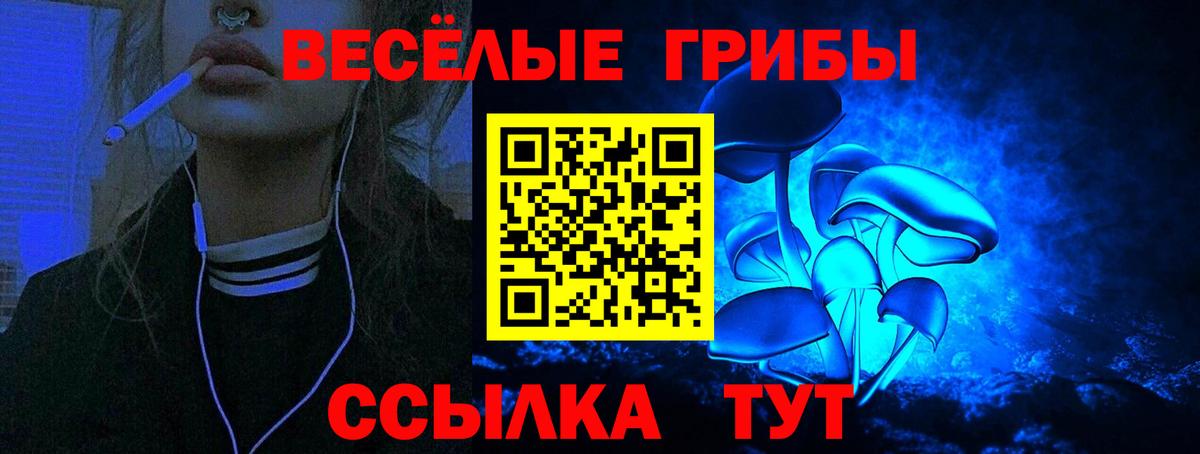 Псилоцибиновые грибы прущие грибы  Галлюциногенные грибы мицелий  как найти   Гудермес  Вход с VPN 
